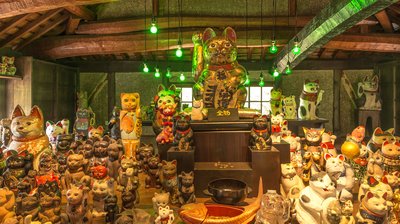 🎨 마네키네코 미술관(마네키네코 비주츠칸)